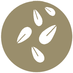 11. Sesame